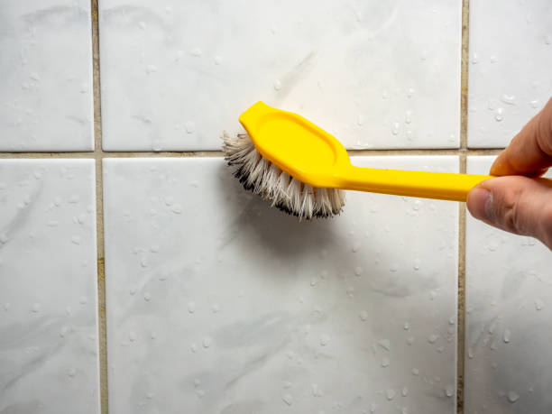Best Home Mold Removal  in Glenwood, IA