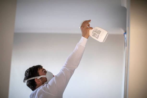 Certified Mold Removal in Glenwood, IA
