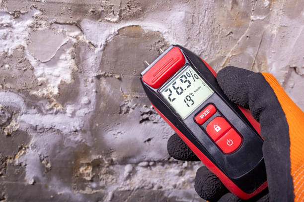 Best Water Damage Restoration  in Glenwood, IA