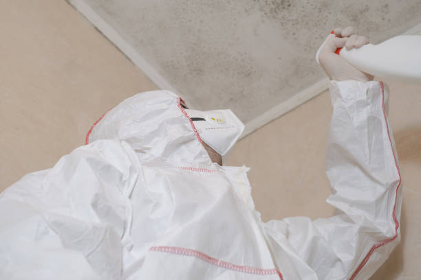 Water Damage Restoration in Glenwood, IA